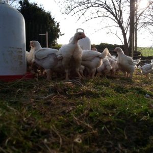 IMG_20220326_082845_1