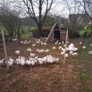 IMG_20220327_092506_5