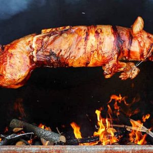 Roasting piglet on the split firewood.