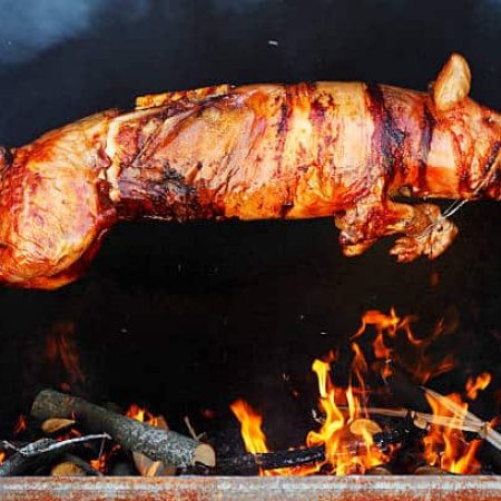 Roasting piglet on the split firewood.