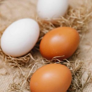 pexels-klaus-nielsen-6294148