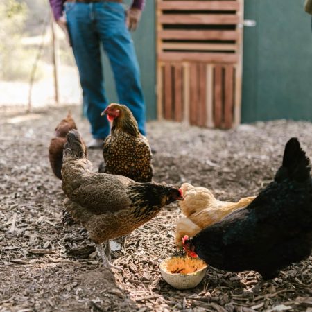 pexels-rodnae-productions-7782053